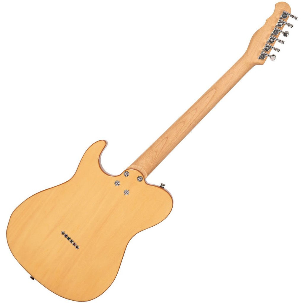 fret-king-country-squire-classic-tonemaster-2_musicvanderheyden