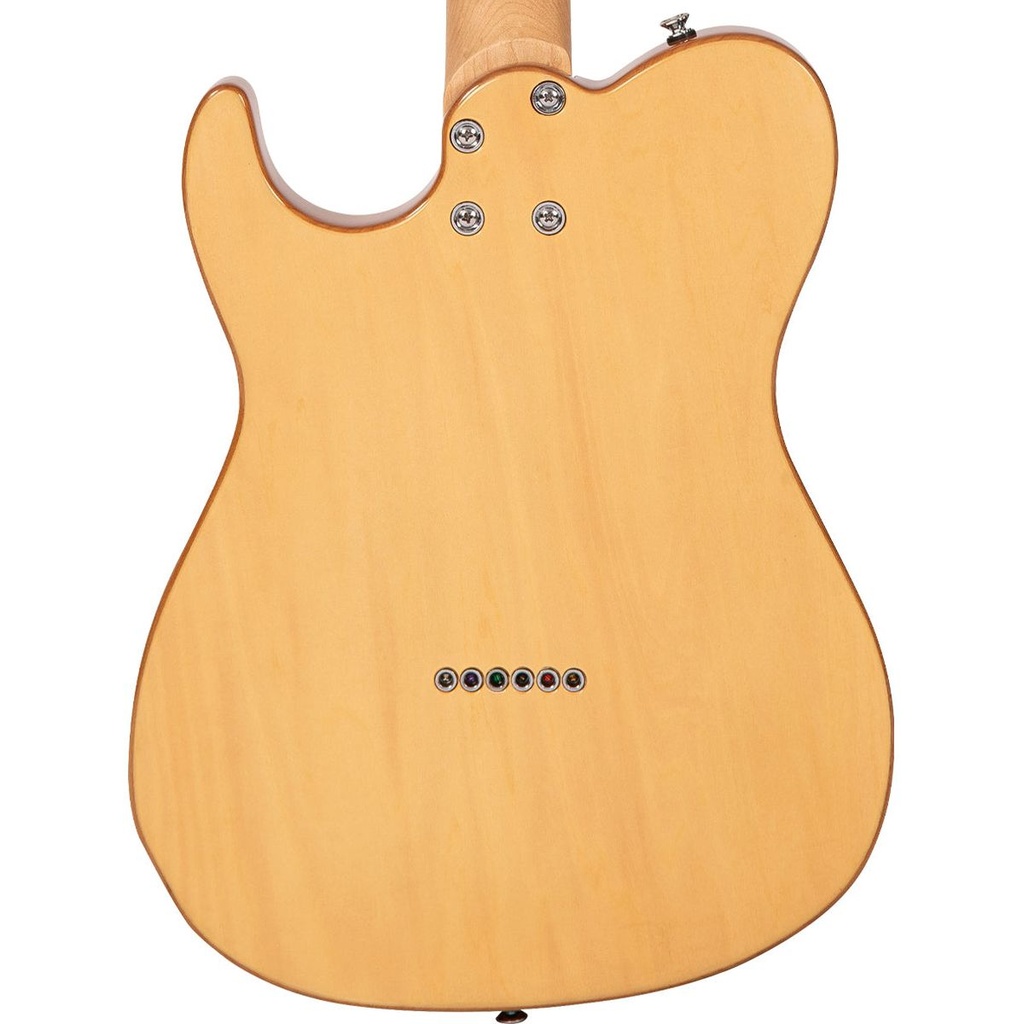 fret-king-country-squire-classic-tonemaster-5_musicvanderheyden