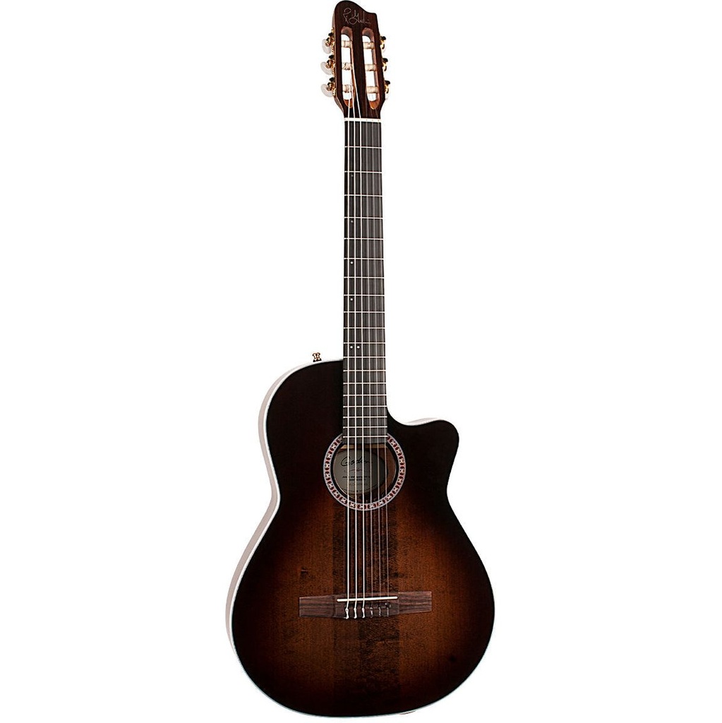 godin-arena-pro-ca-bourbon-burst-nylon-string-2_musicvanderheyden