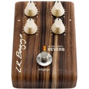 lr-baggs-align-reverb-2_musicvanderheyden
