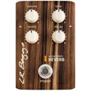 lr-baggs-align-reverb-3_musicvanderheyden