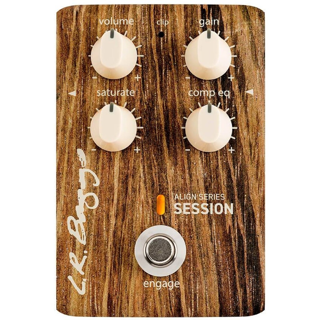 lr-baggs-align-session-3_musicvanderheyden