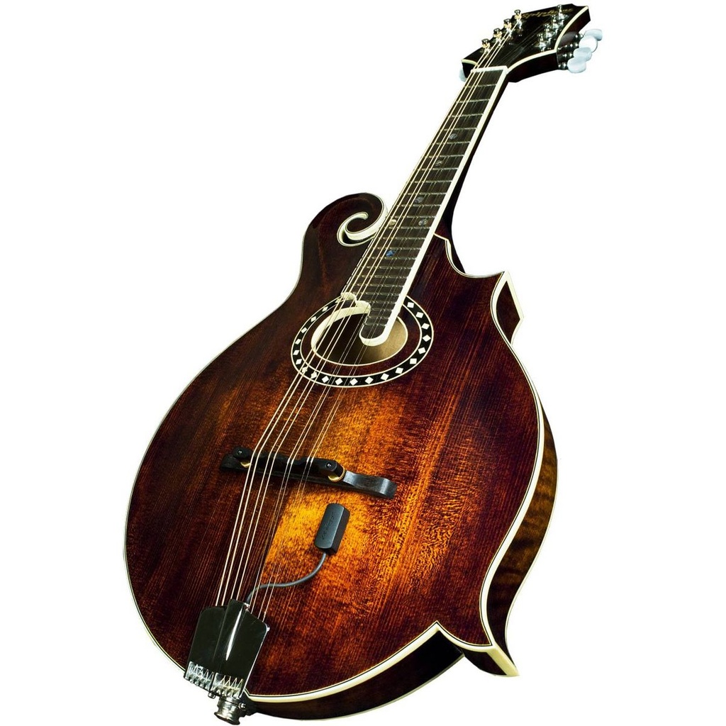 lr-baggs-radius-m-2_musicvanderheyden