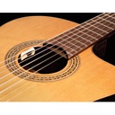 lr-baggs-anthem-sl-c-oem-version-2_musicvanderheyden