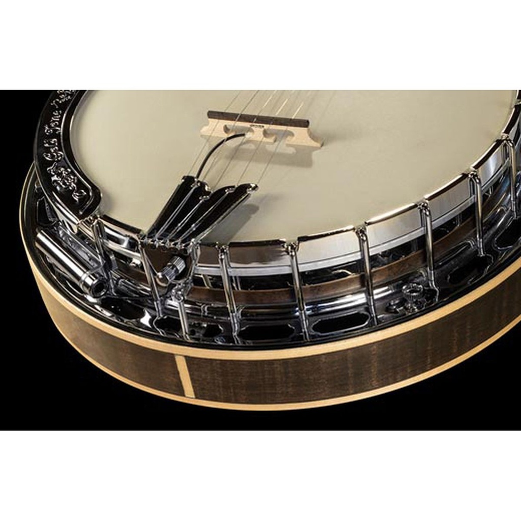 lr-baggs-banjo-2_musicvanderheyden