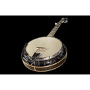 lr-baggs-banjo-3_musicvanderheyden