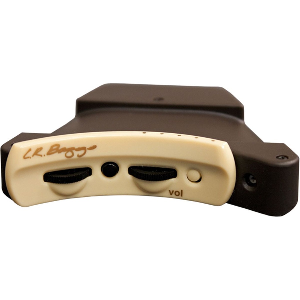 lr-baggs-anthem-2_musicvanderheyden