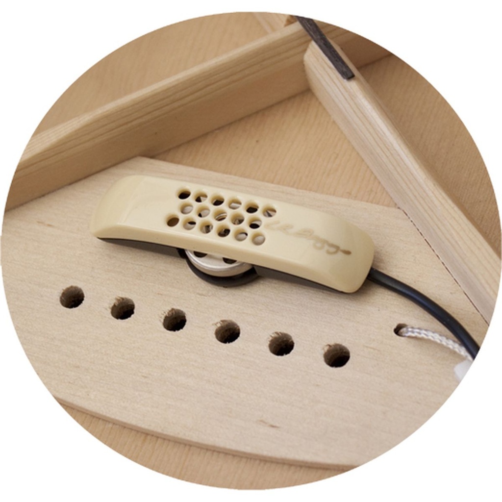 lr-baggs-anthem-3_musicvanderheyden