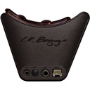 lr-baggs-session-vtc-2_musicvanderheyden