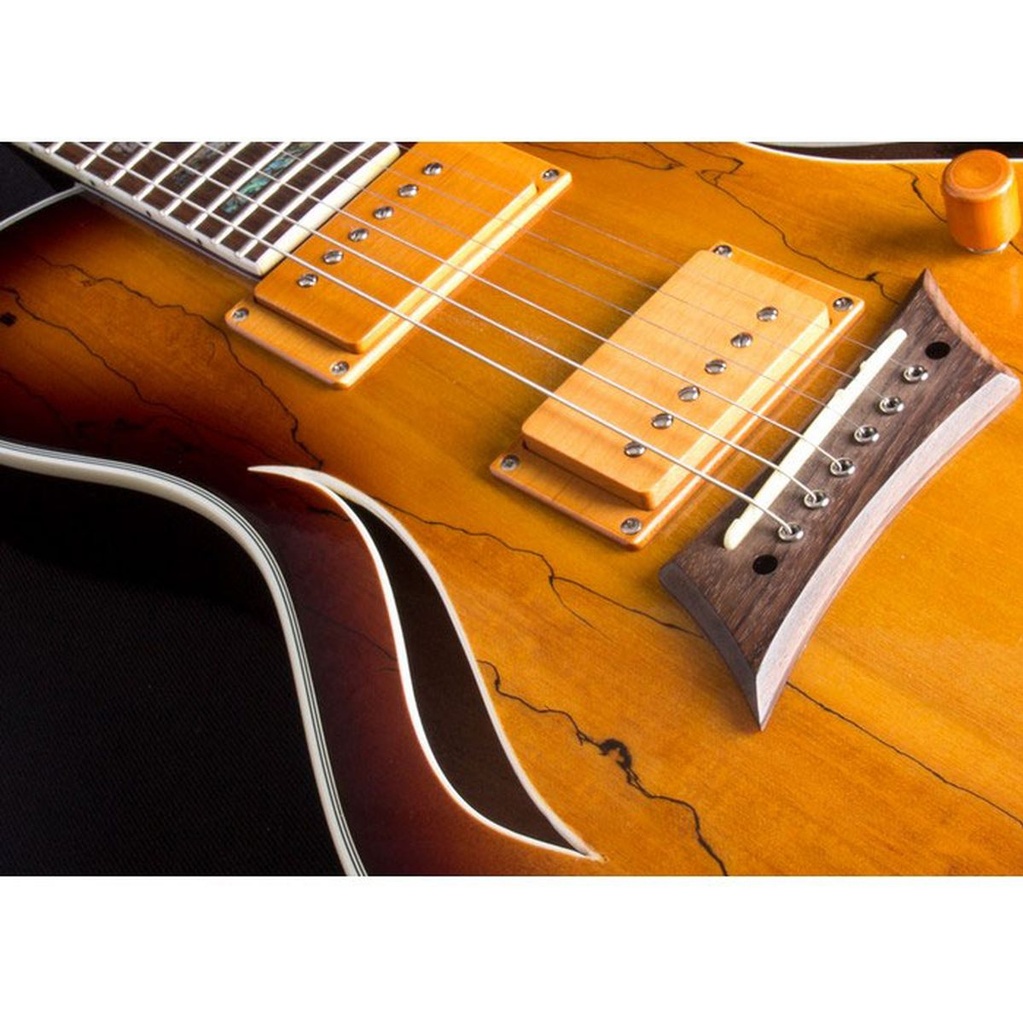 michael-kelly-hybrid-special-spalted-burst-5_musicvanderheyden