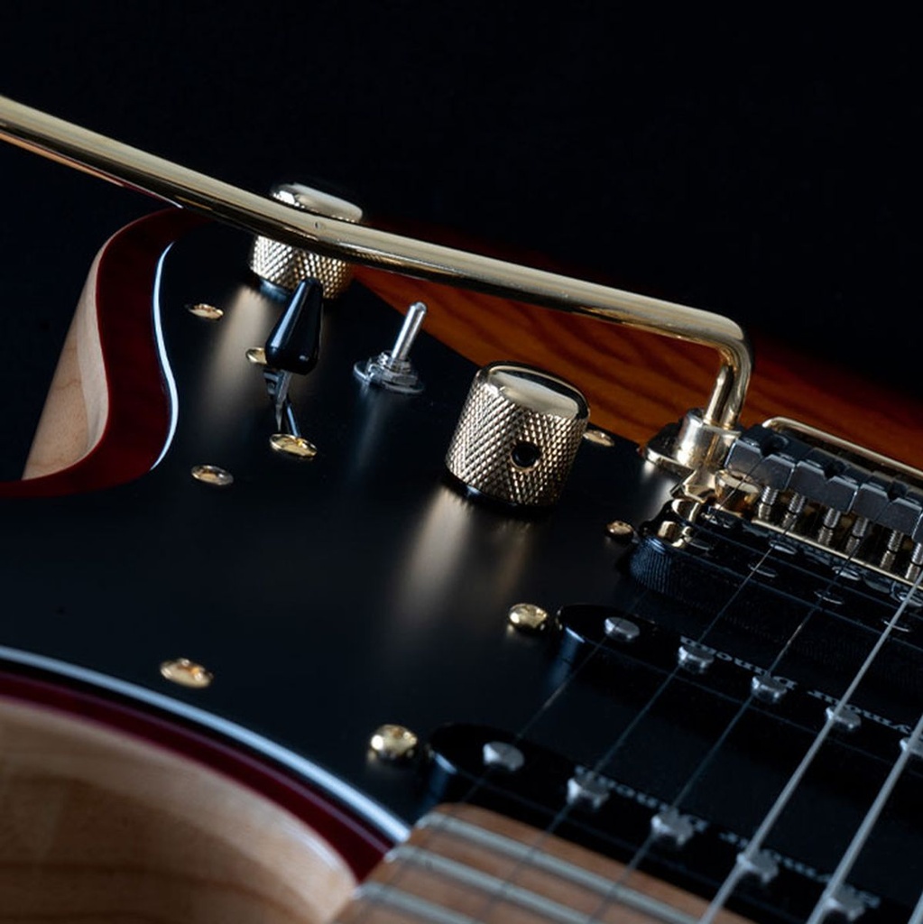 michael-kelly-mod-shop-1967-aged-cherry-sunburst-5_musicvanderheyden