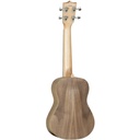 tanglewood-tiare-t3-e-2_musicvanderheyden