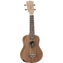tanglewood-tiare-t2-2_musicvanderheyden