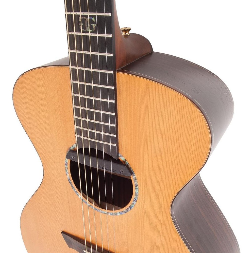 vintage-gordon-giltrap-deluxe-edition-and-case-5_musicvanderheyden