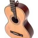 vintage-viaten-tenor-guitar-and-bag-by-paul-brett-4_musicvanderheyden