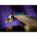 g7th-ultralight-6-string-blue-2_musicvanderheyden