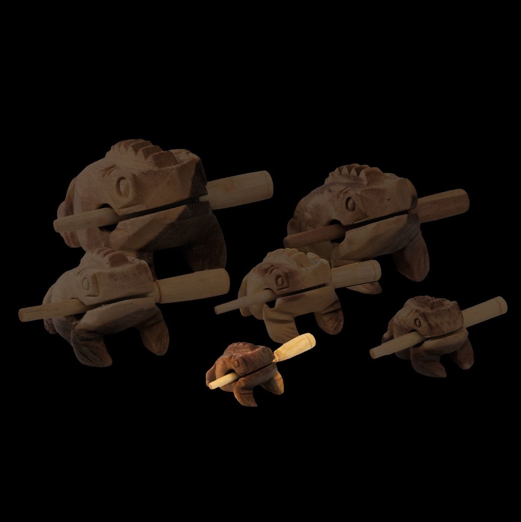 terre-sound-frog-w-6-cm-long-sound-back-2_musicvanderheyden