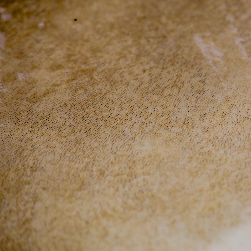 terre-frame-drum-goat-round-50cm-5_musicvanderheyden