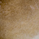 terre-frame-drum-goat-round-50cm-5_musicvanderheyden