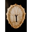 terre-shaman-drum-siberian-style-egg-2_musicvanderheyden