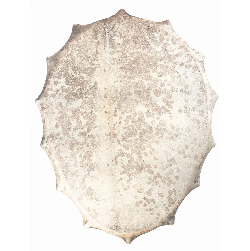 terre-shaman-drum-siberian-style-egg-3_musicvanderheyden