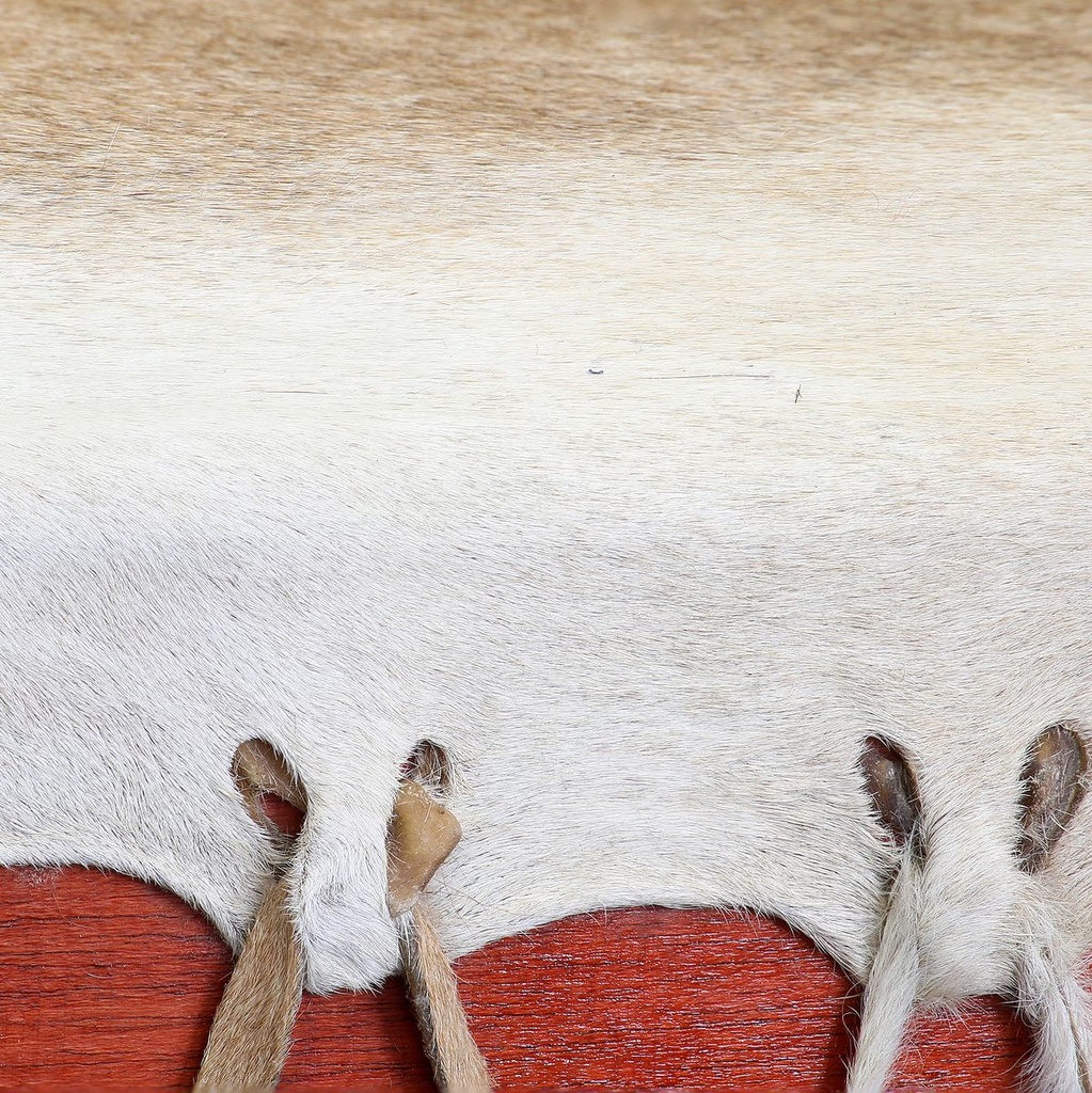 terre-motherdrum-140cm-3_musicvanderheyden