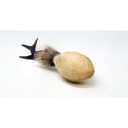 terre-shamanshaker-deer-antler-l-rain-3_musicvanderheyden