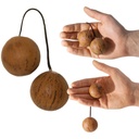 terre-thelevi-standard-3_musicvanderheyden