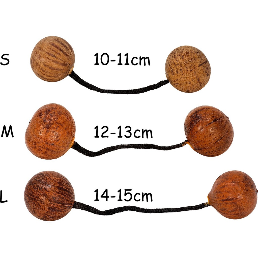 terre-thelevi-standard-4_musicvanderheyden