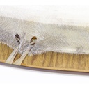 terre-shaman-drum-goat-fur-round-50cm-4_musicvanderheyden