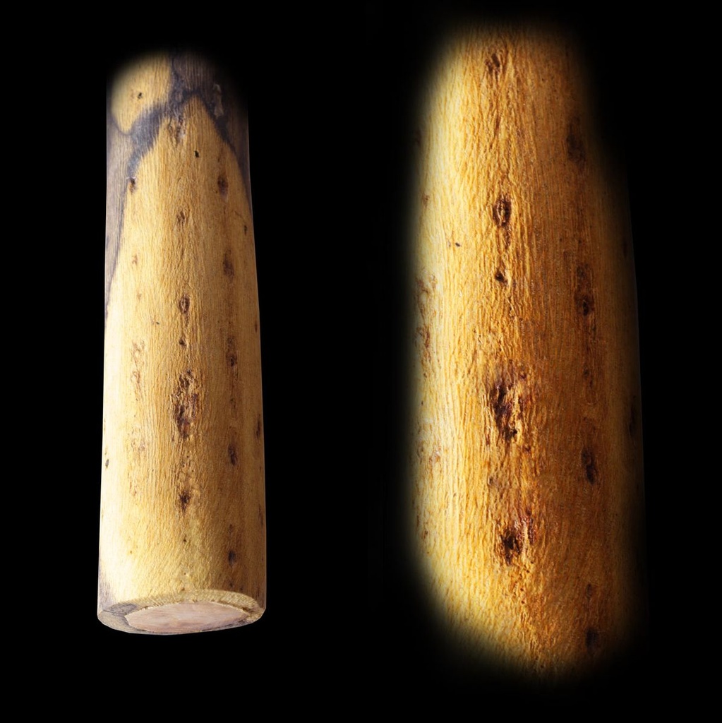 terre-rainmaker-s-75-2_musicvanderheyden