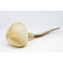 terre-shamanshaker-deer-antlers-xl-sea-4_musicvanderheyden