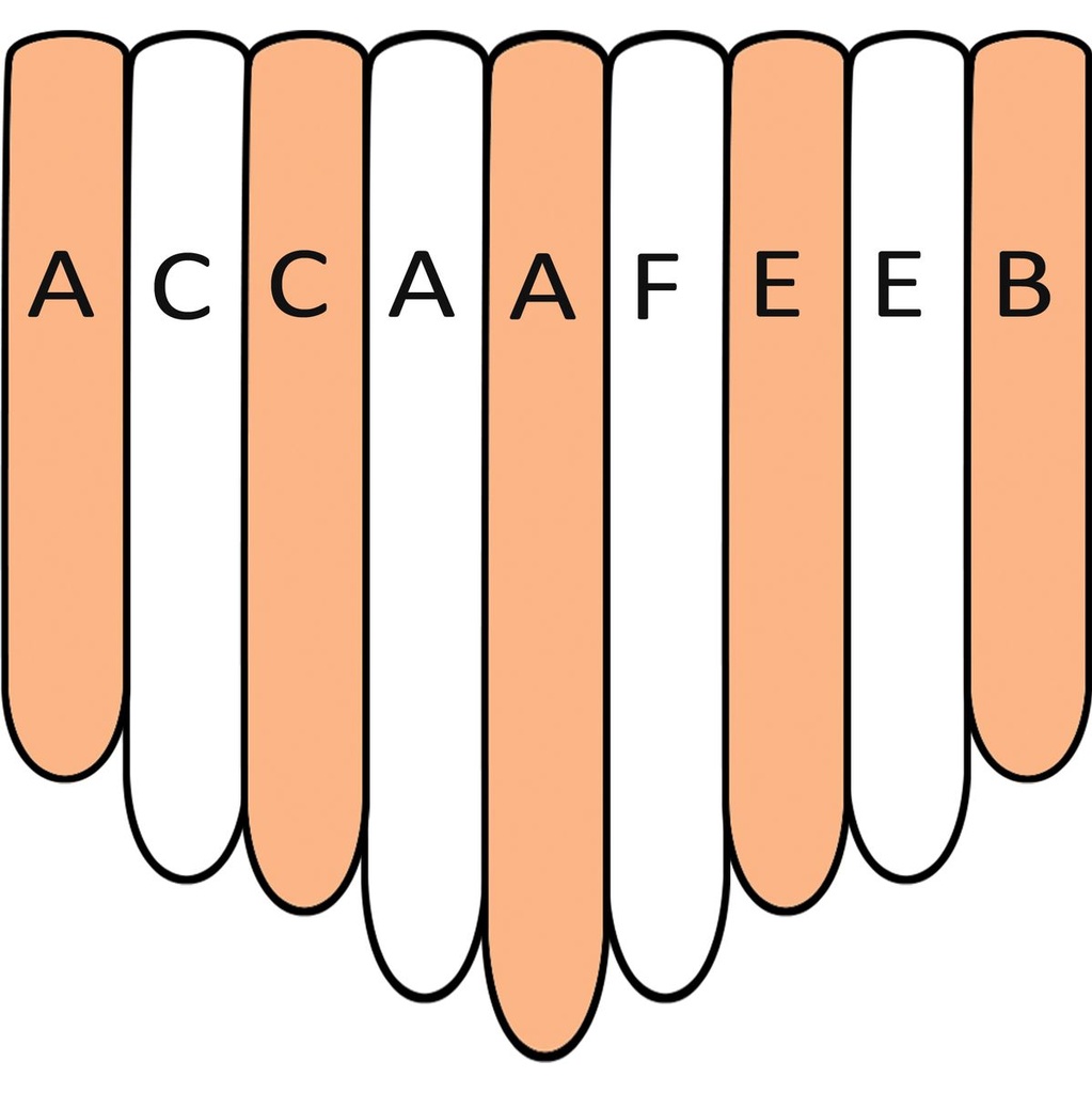 terre-kalimba-skin-white-81-a-minor-3_musicvanderheyden