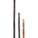 terre-rainmaker-maori-75cm-4_musicvanderheyden