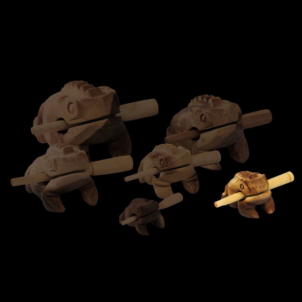 terre-sound-frog-w-8-cm-long-sound-back-2_musicvanderheyden