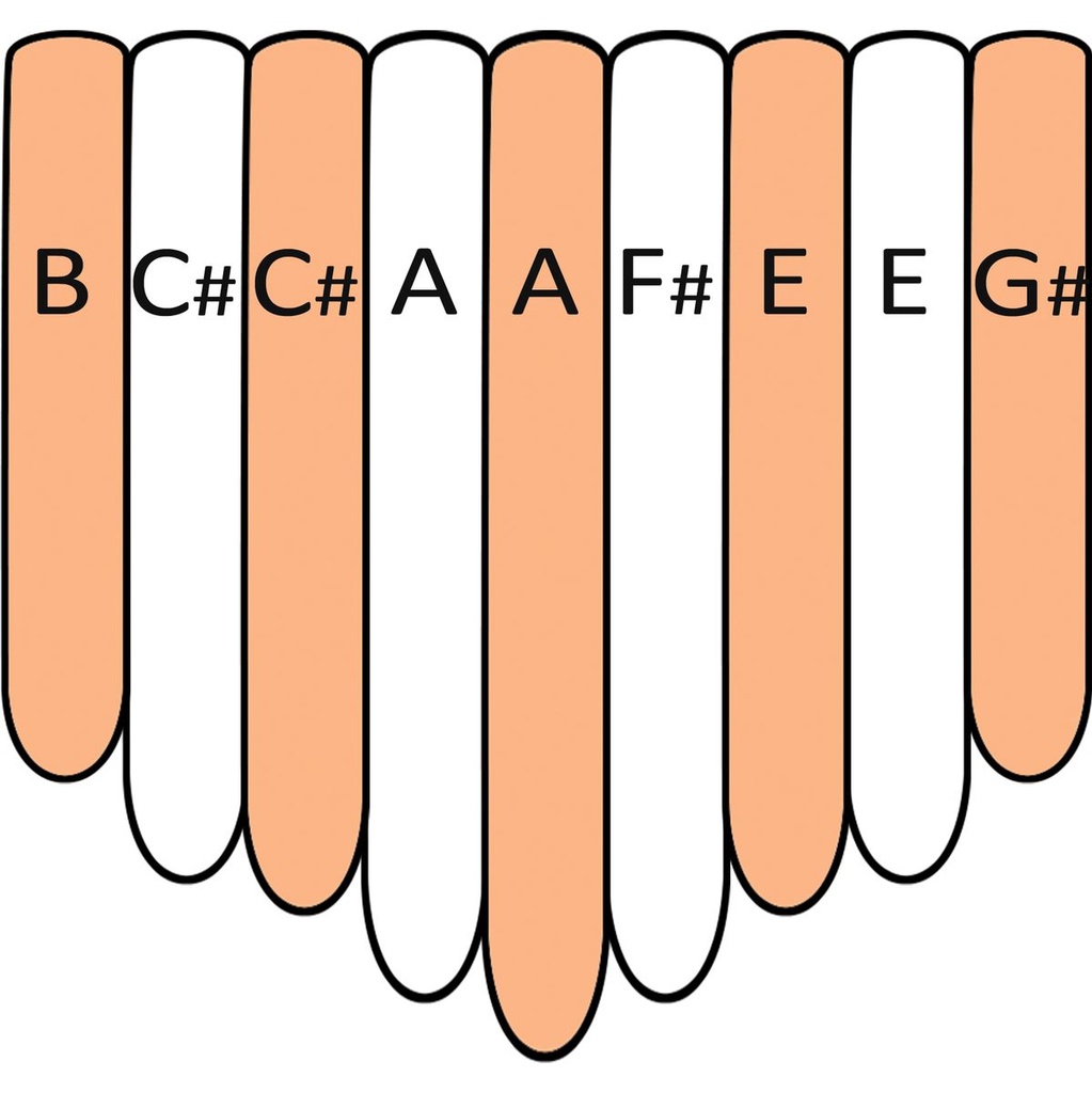 terre-kalimba-skin-white-9-a-major-3_musicvanderheyden