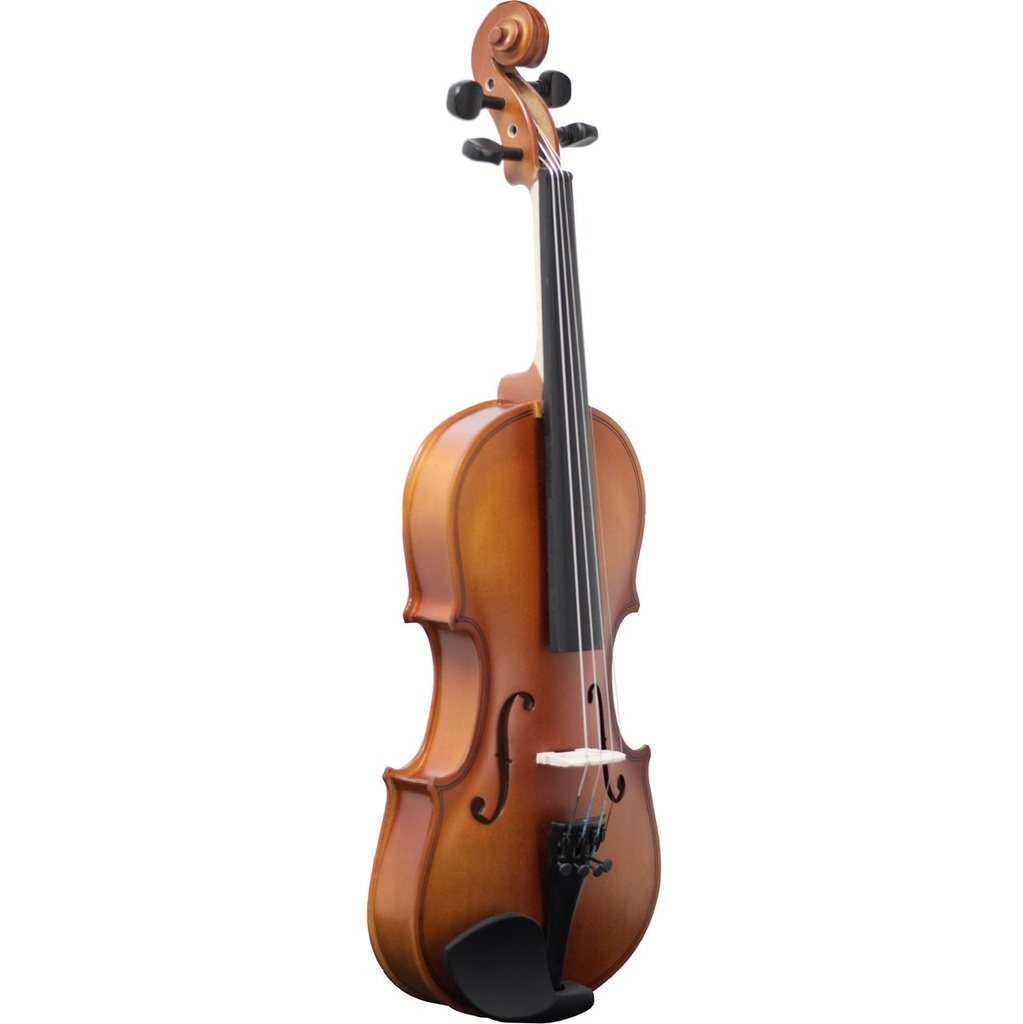 amadeus-violin-va-101-14-2_musicvanderheyden