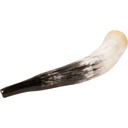 terre-polished-cow-horn-2_musicvanderheyden