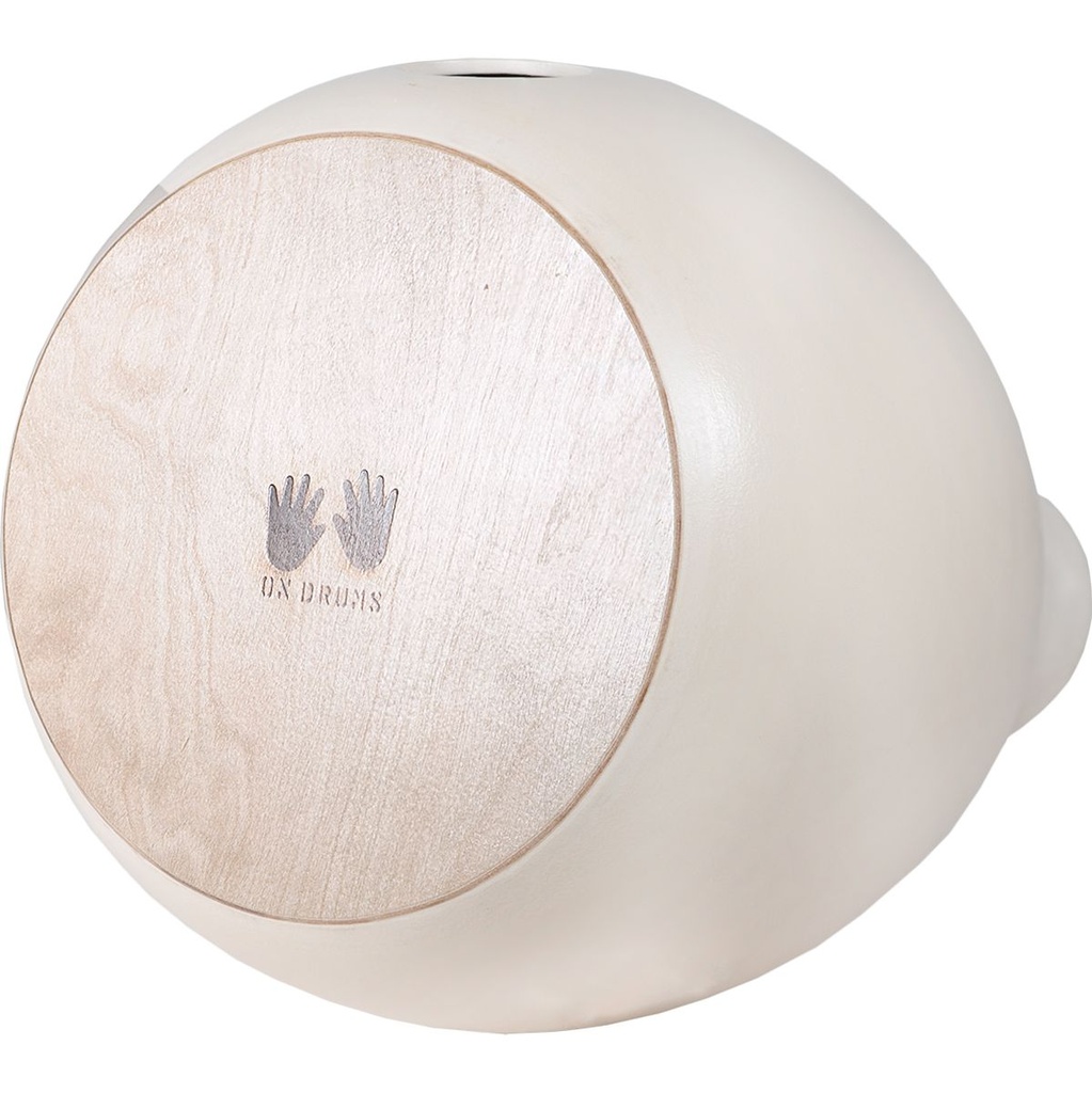 terre-cajudoo-standard-7inch-5_musicvanderheyden