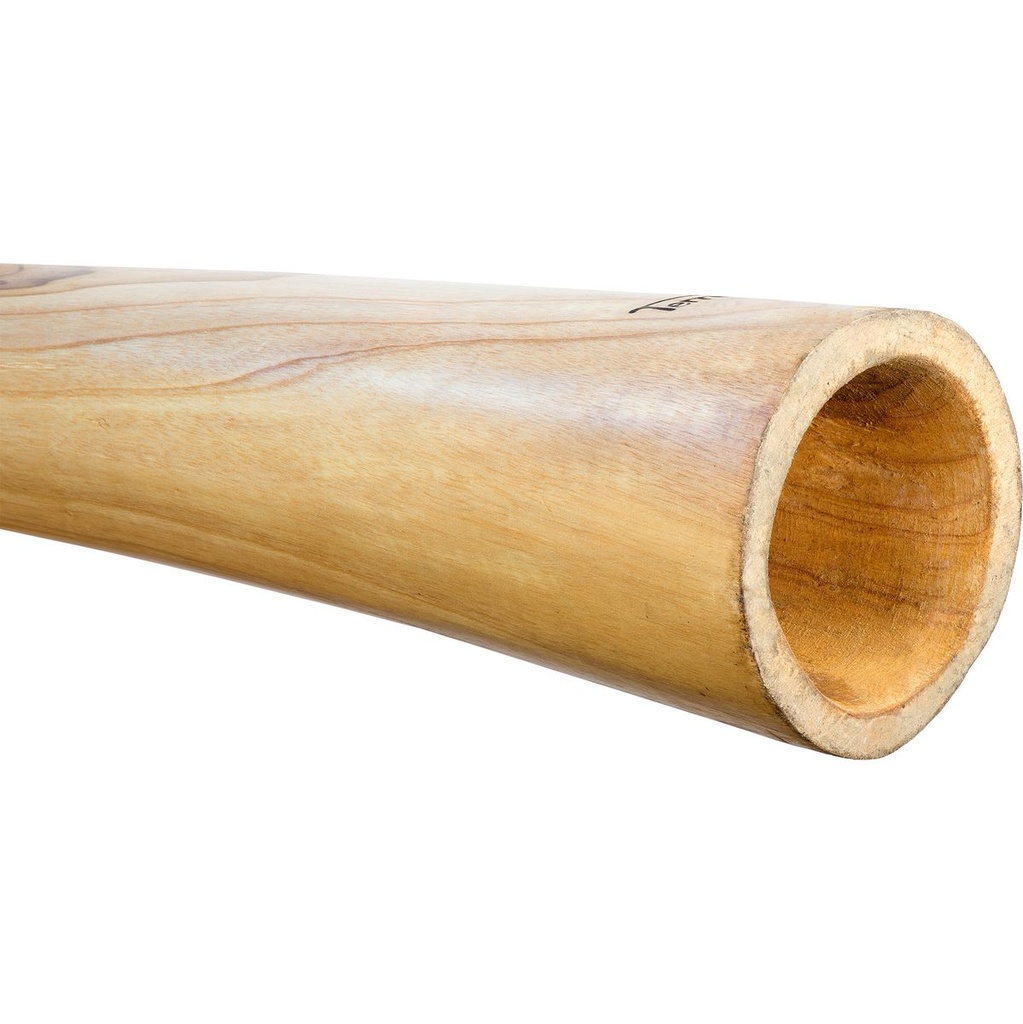 terre-didge-l-pro-teak-f-4_musicvanderheyden