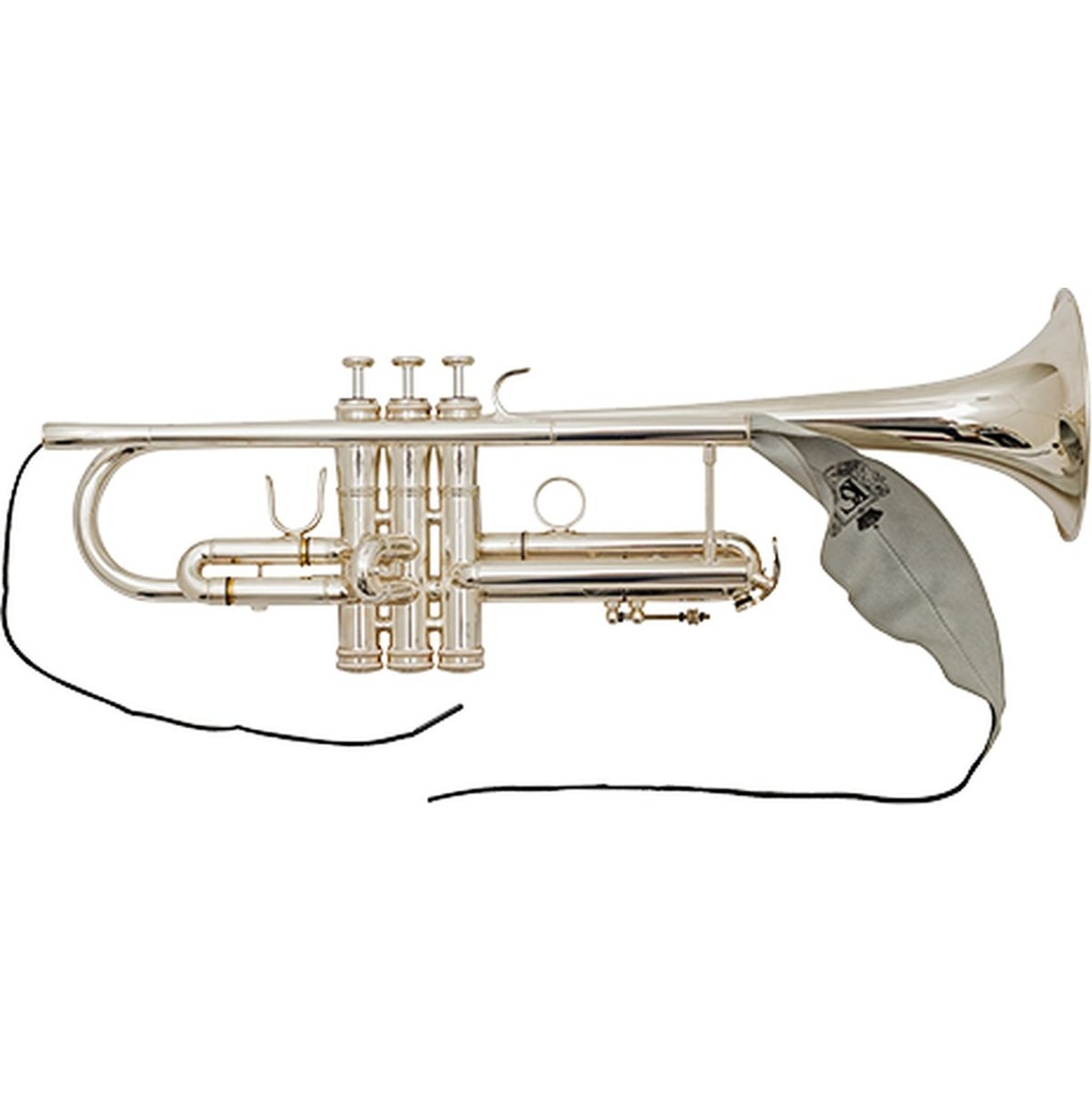 bg-france-swab-trumpet-a31-t-2_musicvanderheyden