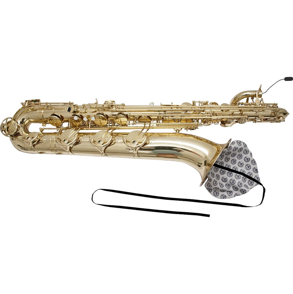 bg-france-swab-bar-sax-a30-sb-3_musicvanderheyden
