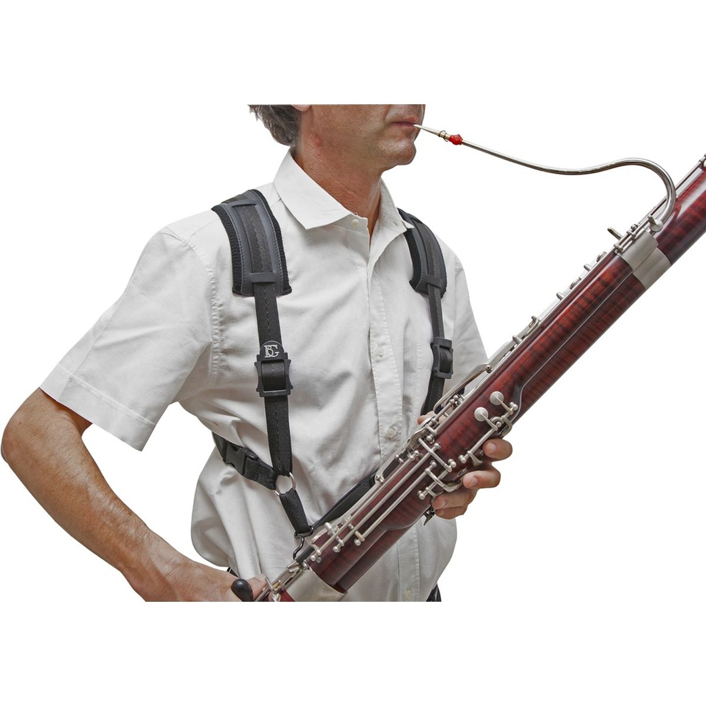 bg-france-harness-b10-c-3_musicvanderheyden