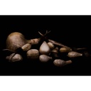 terre-shamanshaker-deer-antlers-m-rain-4_musicvanderheyden