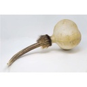 terre-shamanshaker-deer-antlers-xl-rain-4_musicvanderheyden