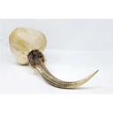 terre-shamanshaker-deer-antlers-xl-rain-5_musicvanderheyden