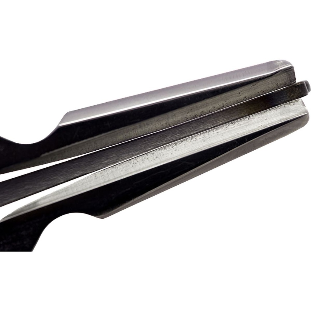 terre-jews-harp-compass-c-sharp2-2_musicvanderheyden