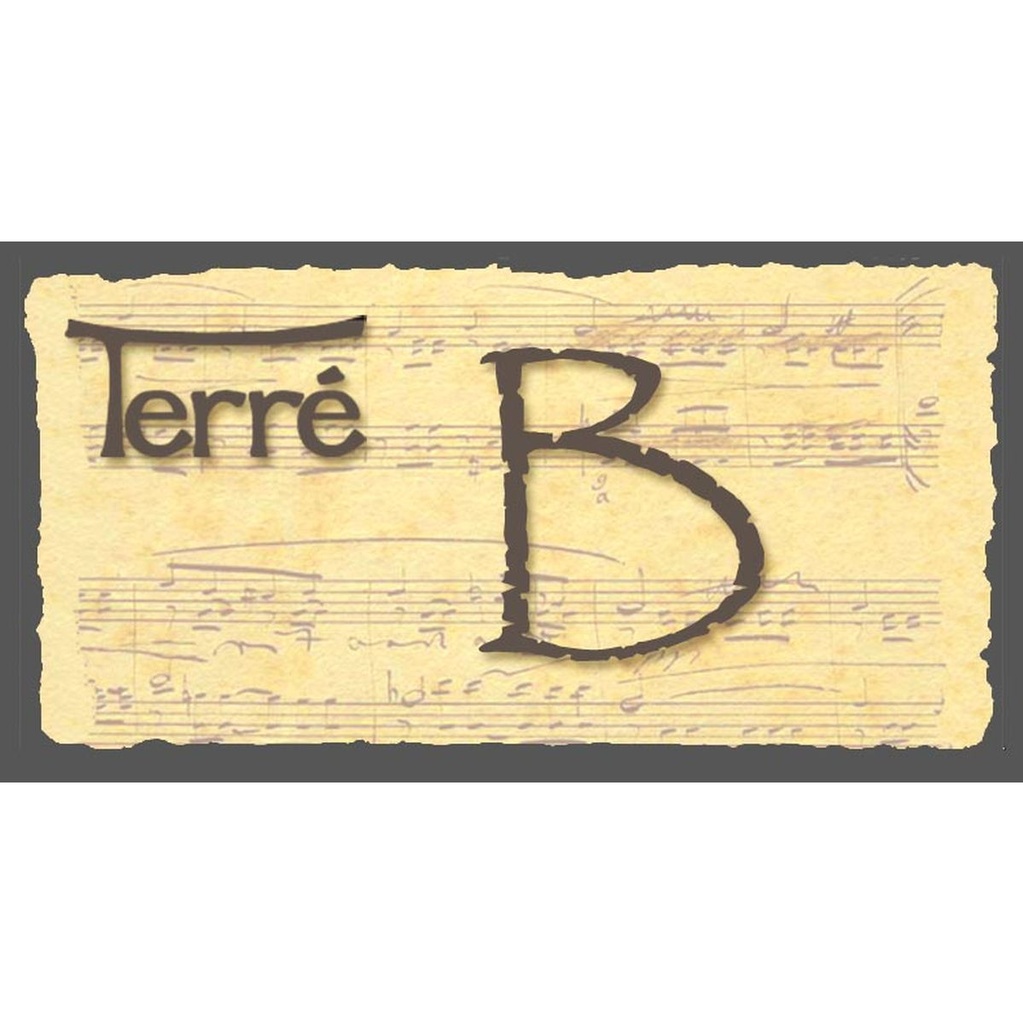 terre-didge-l-pro-mahogany-b-5_musicvanderheyden