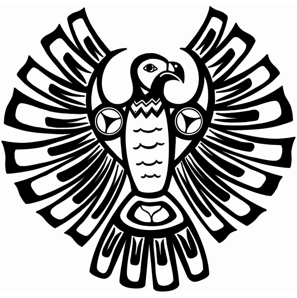 terre-shaman-drum-thunderbird-goat-40cm-3_musicvanderheyden