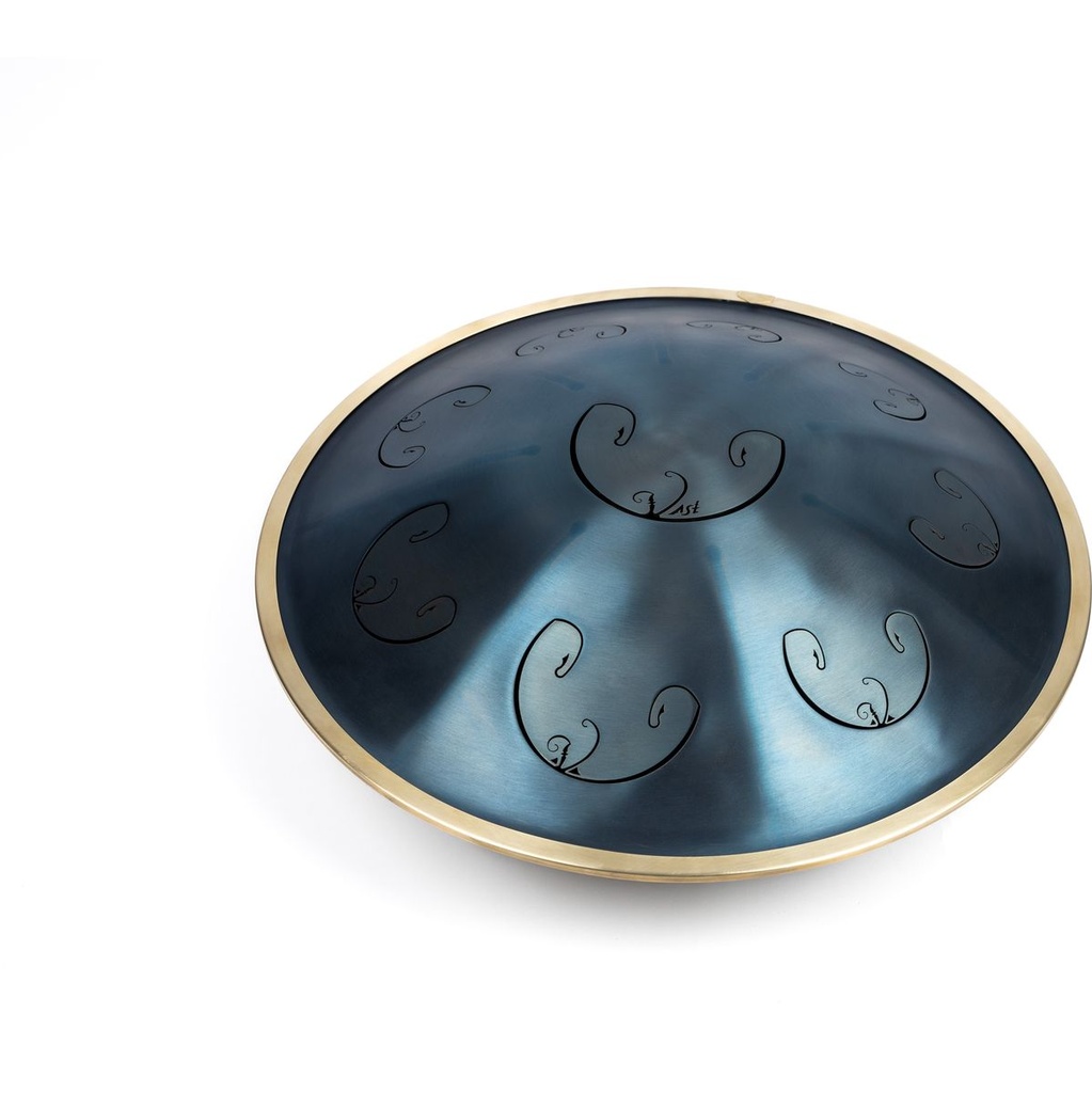 rav-vast-c-golden-gate-indigo-4_musicvanderheyden